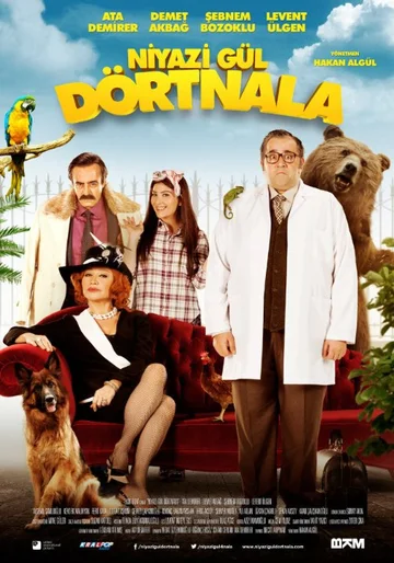 Постер: Niyazi Gül Dörtnala