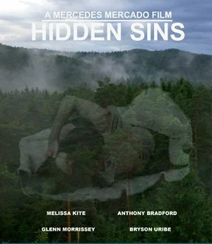 Постер: Hidden Sins