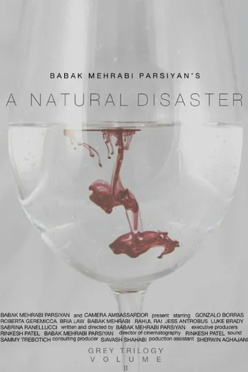 Постер: A Natural Disaster