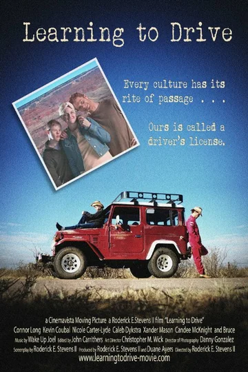 Постер: Learning to Drive