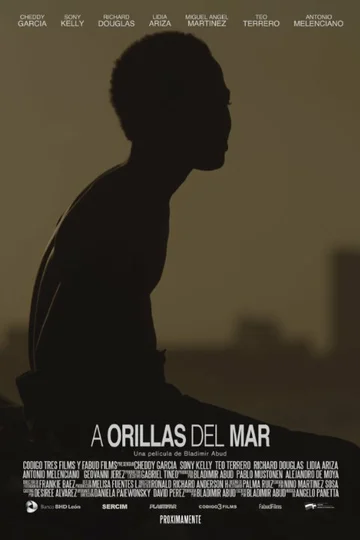 Постер: A orillas del mar
