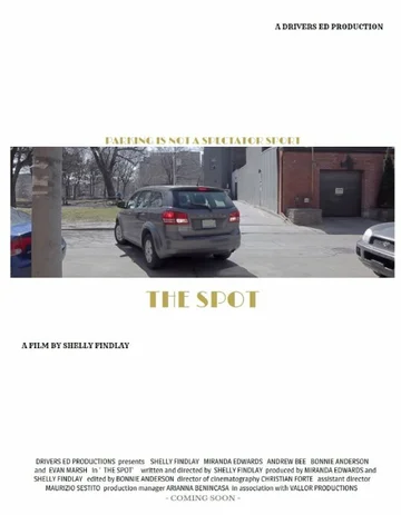 Постер: The Spot