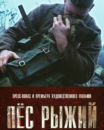 Постер: Пёс рыжий