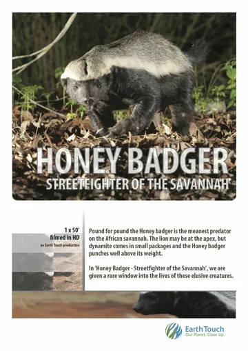 Постер: Ultimate Honey Badger