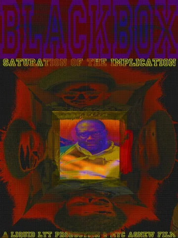 Постер: BlackBox: Saturation of the Implication