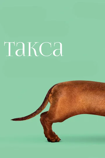 Постер: Такса