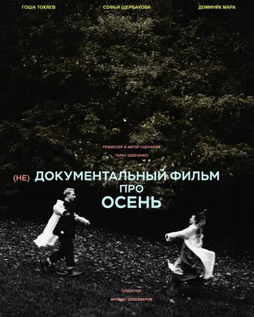 Постер: (не)Документальный фильм про осень