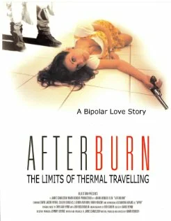 Постер: The Limits of Thermal Travelling