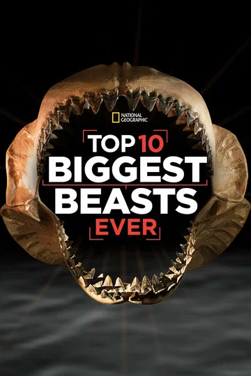 Постер: Top 10 Biggest Beasts Ever