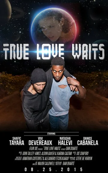 Постер: True Love Waits