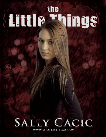 Постер: The Little Things