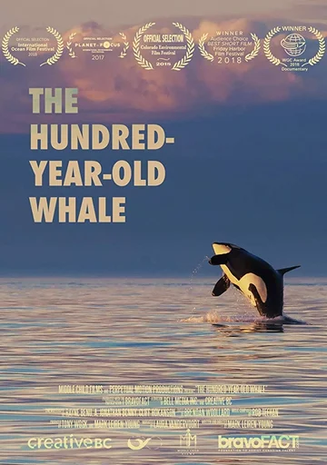 Постер: The Hundred Year Old Whale