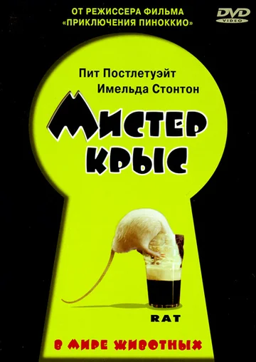 Постер: Мистер крыс