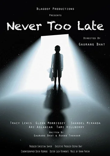 Постер: Never Too Late