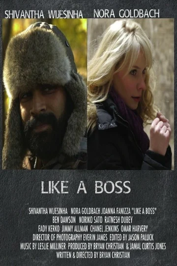 Постер: Like a Boss