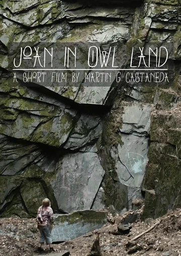 Постер: Joan in Owl Land
