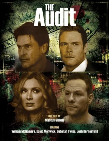 Постер: The Audit