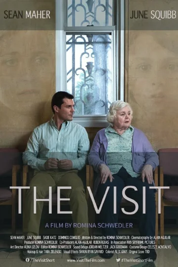 Постер: The Visit