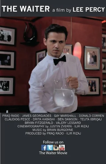Постер: The Waiter