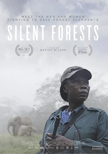 Постер: Silent Forests