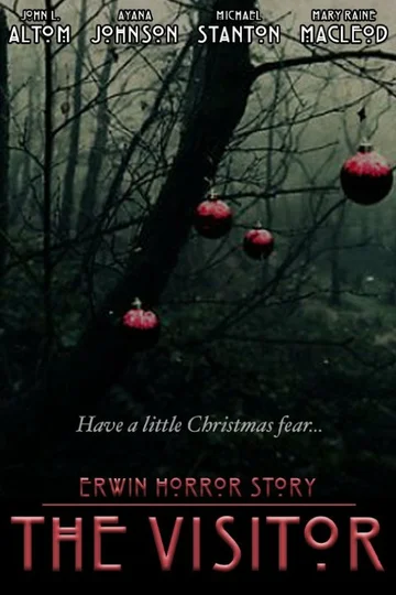 Постер: Erwin Horror Story: The Visitor