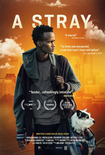 Постер: A Stray