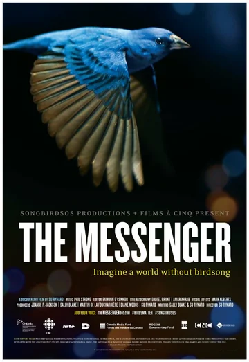 Постер: The Messenger