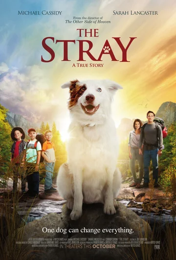 Постер: The Stray