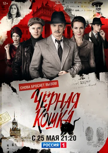 Постер: Черная кошка
