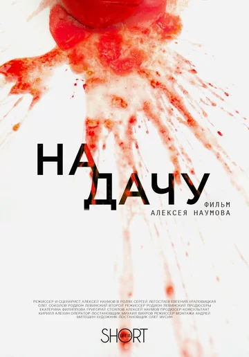 Постер: На дачу