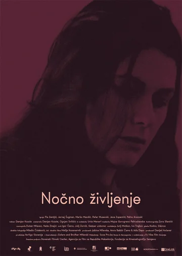 Постер: Ночная жизнь