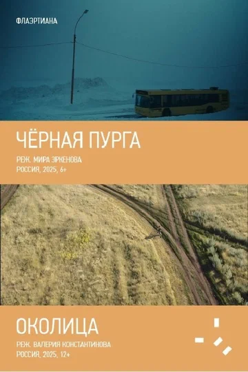 Постер: Черная пурга