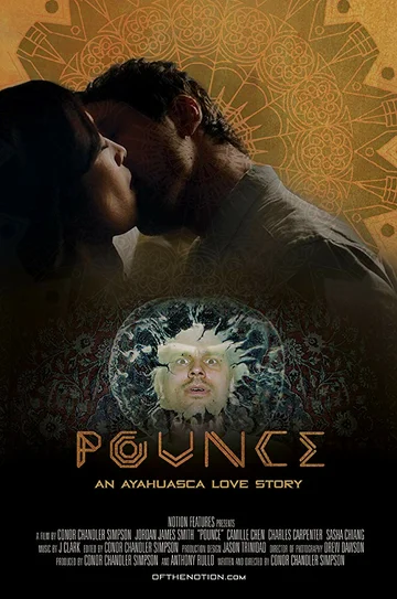 Постер: Pounce