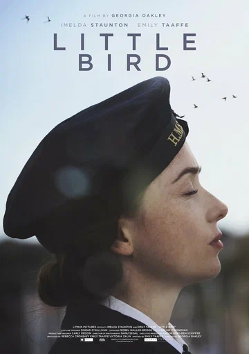 Постер: Little Bird