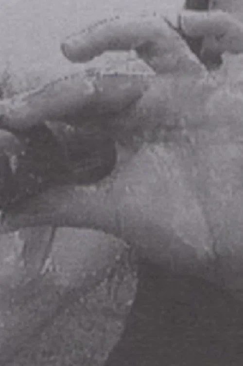 Постер: Luna 10 (The Butterfly Effect of Geography)
