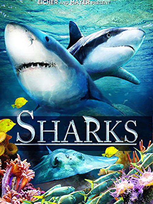 Постер: Sharks (in 3D)