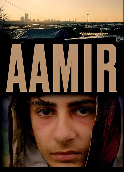 Постер: Aamir