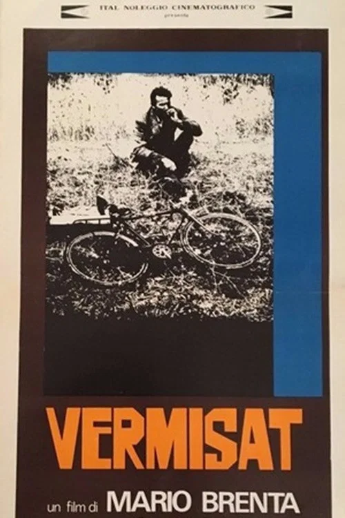 Постер: Vermisat