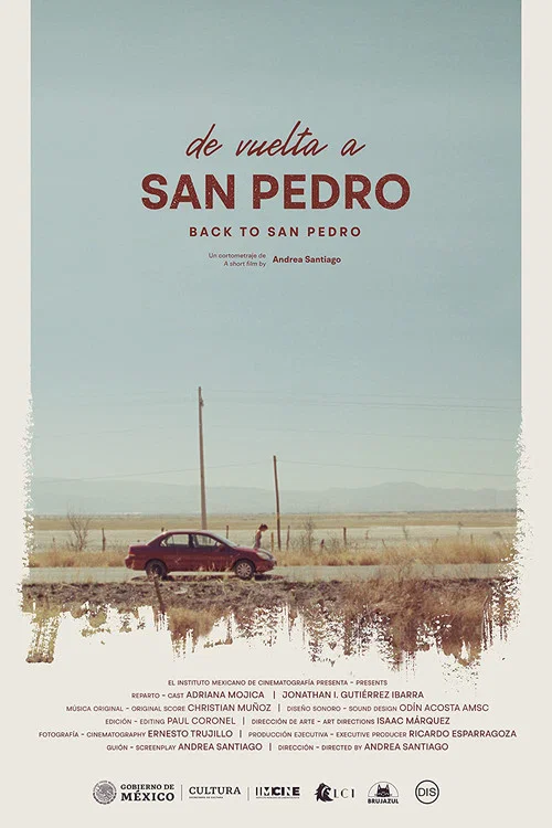 Постер: De vuelta a San Pedro