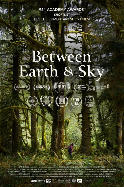 Постер: Between Earth & Sky