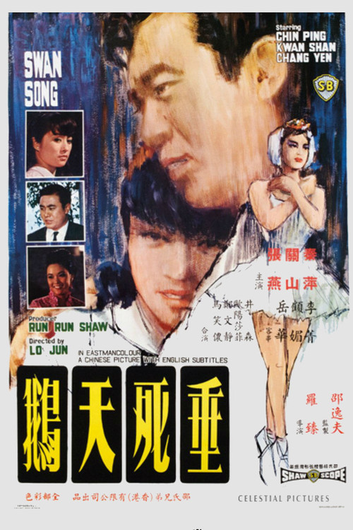 Постер: 垂死天鵝