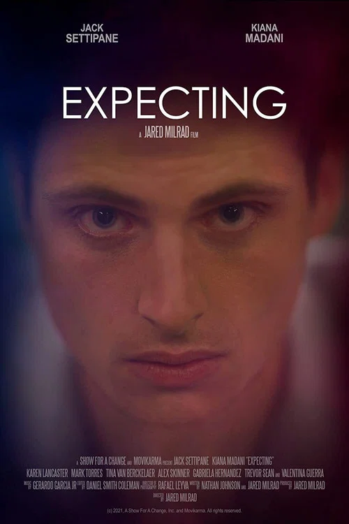 Постер: Expecting