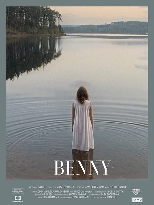 Постер: Benny