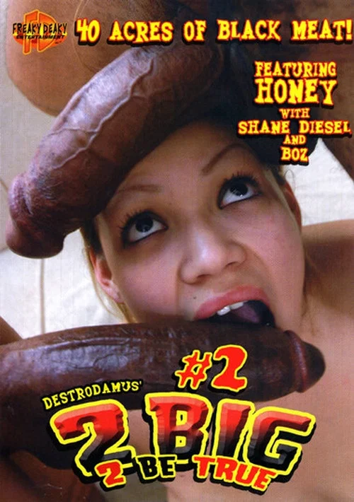 Постер: 2 Big 2 Be True 2