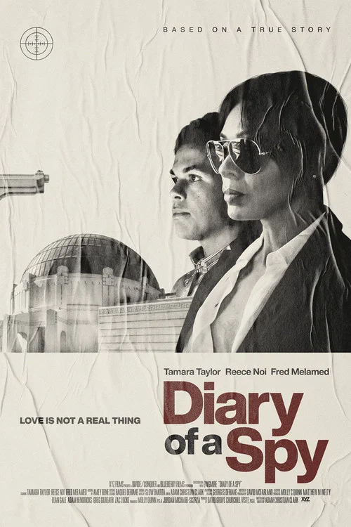 Постер: Diary of a Spy