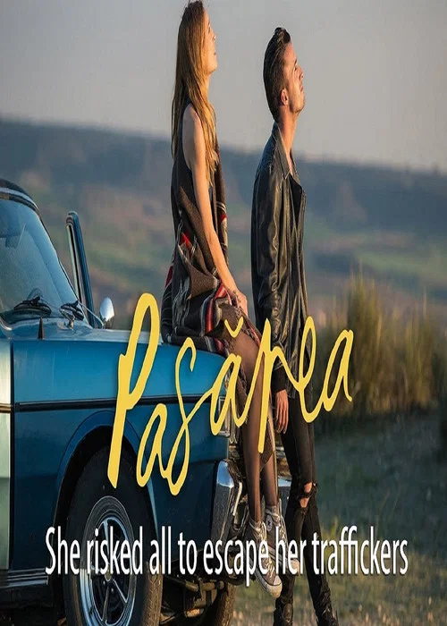 Постер: Pasarea