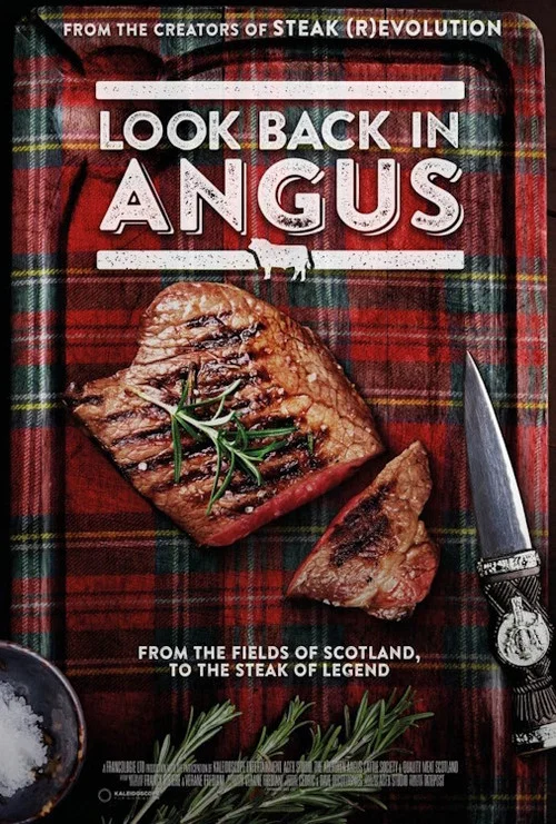 Постер: Look Back in Angus