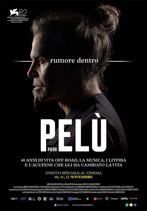 Постер: Piero Pelù: Rumore dentro