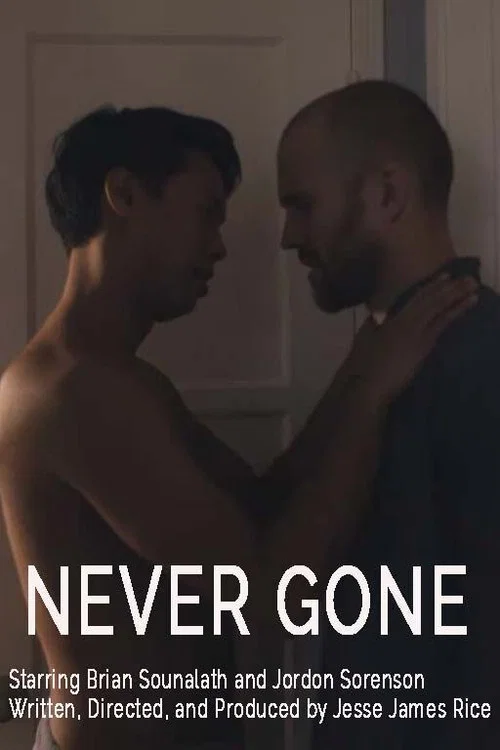 Постер: Never Gone