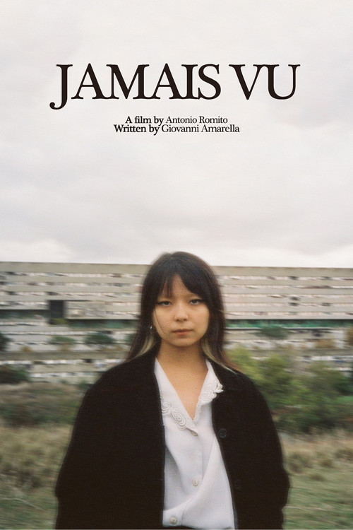 Постер: Jamais Vu